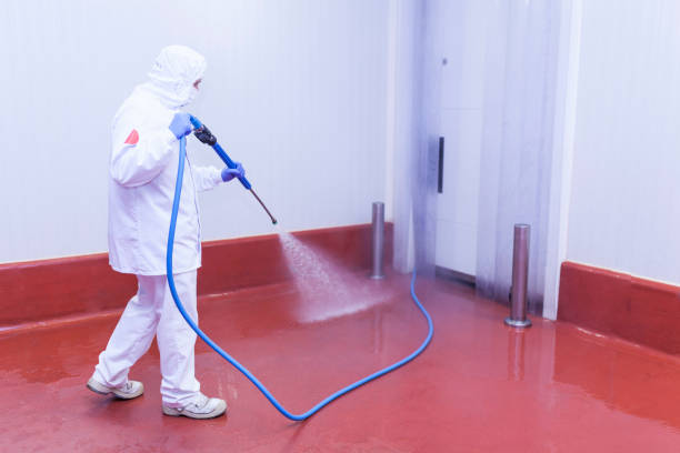 Best Solar Panel Cleaning  in Long Creek, IL